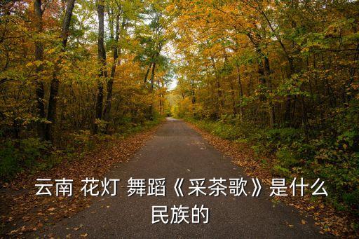  云南 花灯 舞蹈《采茶歌》是什么民族的