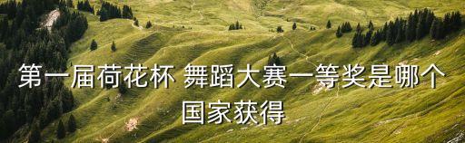 第一届荷花杯 舞蹈大赛一等奖是哪个国家获得