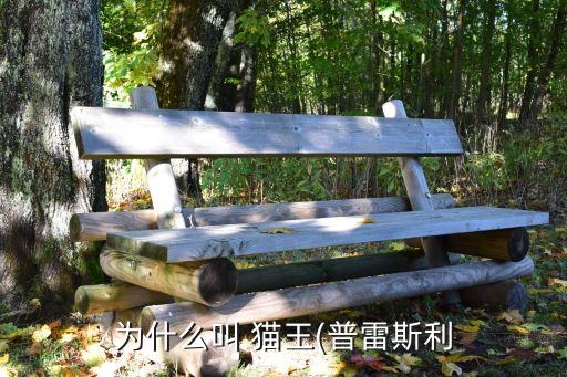 为什么叫 猫王(普雷斯利