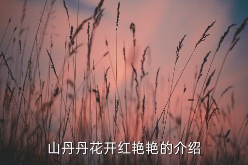 山丹丹花开红艳艳的介绍
