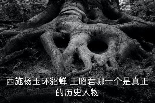 王昭君舞蹈,昭君博物馆落成昭君是美的化身