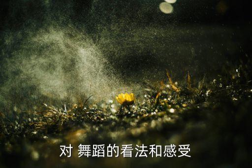 对 舞蹈的看法和感受