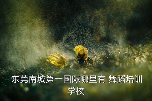  东莞南城第一国际哪里有 舞蹈培训学校