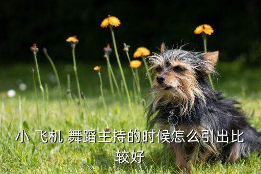 小 飞机 舞蹈主持的时候怎么引出比较好