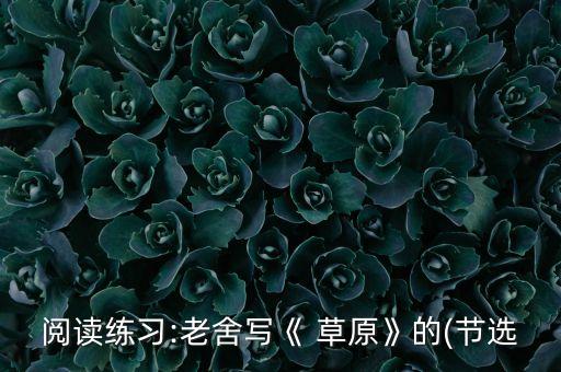阅读练习:老舍写《 草原》的(节选