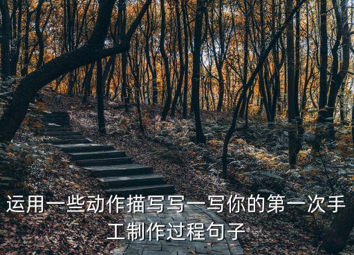 运用一些动作描写写一写你的第一次手工制作过程句子