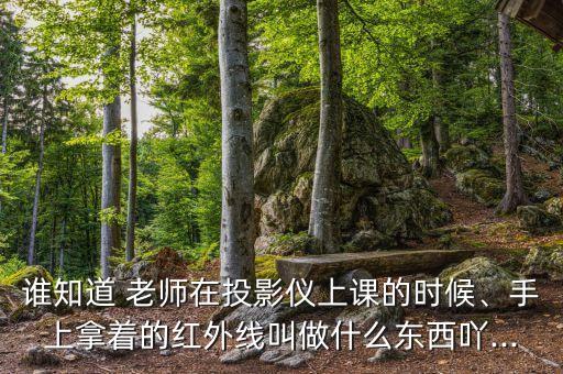 谁知道 老师在投影仪上课的时候、手上拿着的红外线叫做什么东西吖...