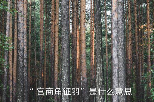 “ 宫商角征羽”是什么意思