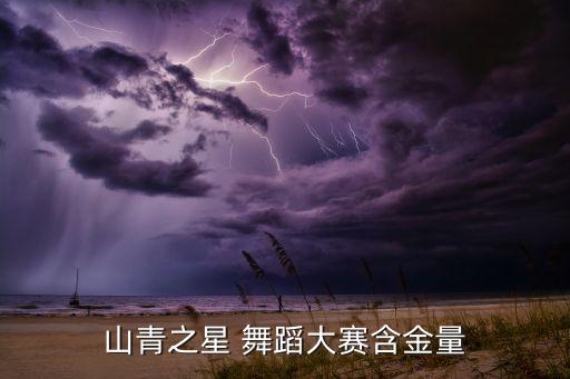 山东省正规的舞蹈协会,青年之星舞蹈比赛由山东省体育总局指导