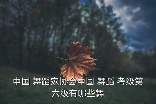 中国 舞蹈家协会中国 舞蹈 考级第六级有哪些舞