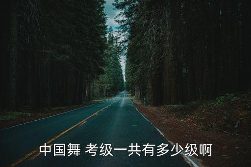 中国舞 考级一共有多少级啊