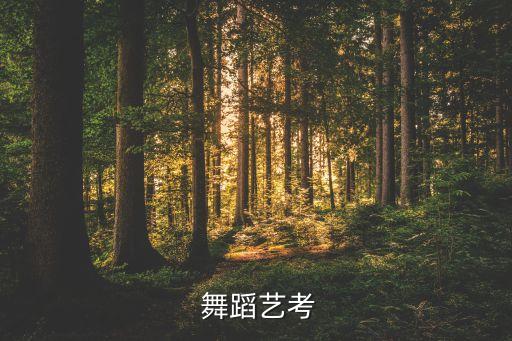  舞蹈艺考