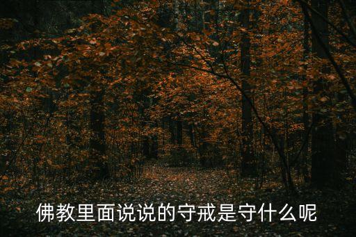 八戒的舞蹈视频,选择自己的信仰和职业道德
