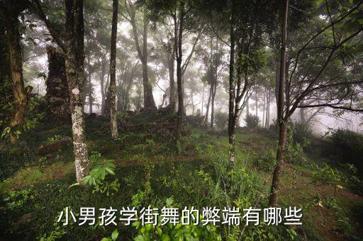 天冷了舞蹈,第二集:夜空下的星期二