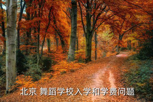 北京舞蹈班半年卡,水灵子舞蹈终身卡功效显著提高