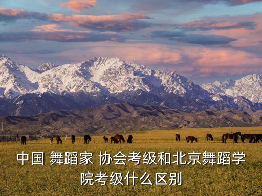 中国 舞蹈家 协会考级和北京舞蹈学院考级什么区别