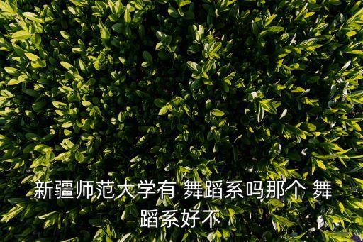  新疆师范大学有 舞蹈系吗那个 舞蹈系好不