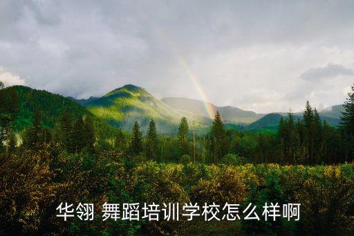  华翎 舞蹈培训学校怎么样啊