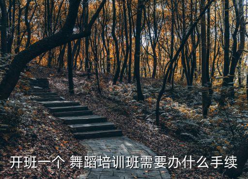 开办儿童舞蹈班怎么办,2舞蹈培训最赚钱办理申请手续程序如下