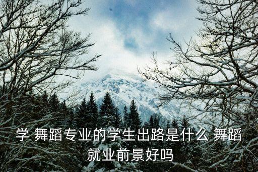 学 舞蹈专业的学生出路是什么 舞蹈 就业前景好吗