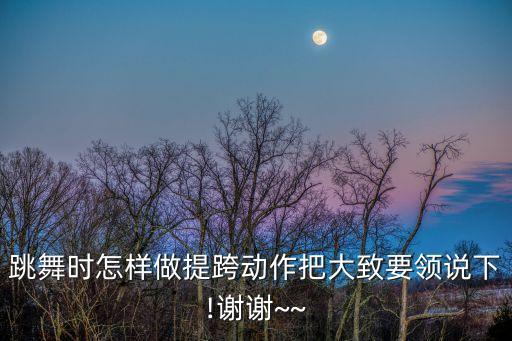 跳舞时怎样做提跨动作把大致要领说下!谢谢~~