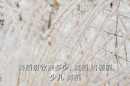  舞蹈班收费多少, 舞蹈 培训班,少儿 舞蹈