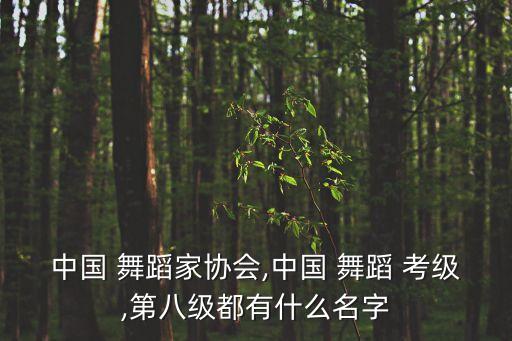中国 舞蹈家协会,中国 舞蹈 考级,第八级都有什么名字