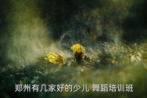  郑州有几家好的少儿 舞蹈培训班