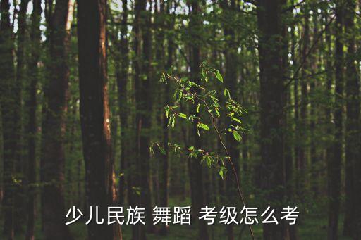  少儿民族 舞蹈 考级怎么考