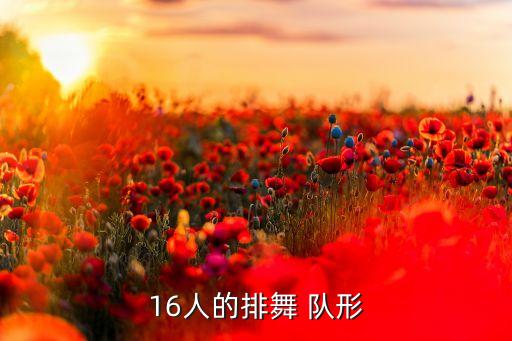 16人的排舞 队形