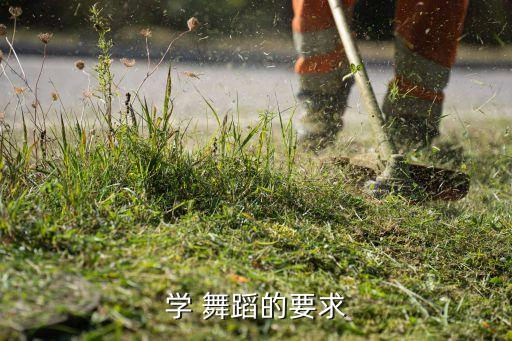 学 舞蹈的要求