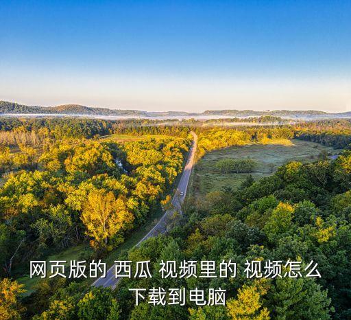 西瓜舞蹈视频教学视频下载,西瓜视频如何下载到u盘