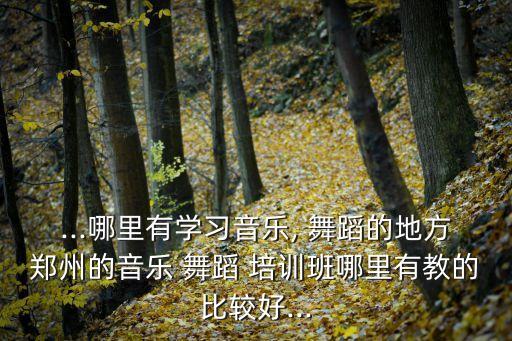 ...哪里有学习音乐, 舞蹈的地方郑州的音乐 舞蹈 培训班哪里有教的比较好...