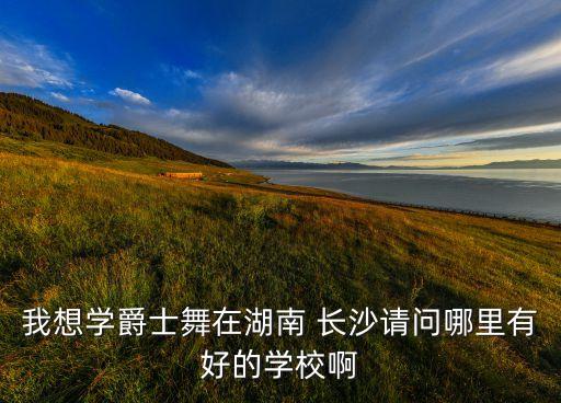 我想学爵士舞在湖南 长沙请问哪里有好的学校啊
