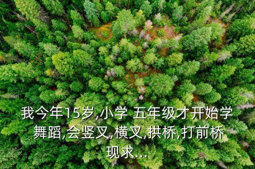 五年级下册民族舞蹈,第八、九届李涛杯参赛作品公布