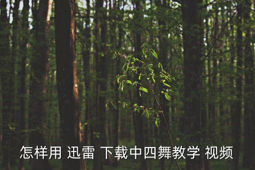 怎样用 迅雷 下载中四舞教学 视频