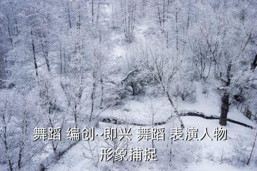  舞蹈 编创~即兴 舞蹈 表演人物形象捕捉