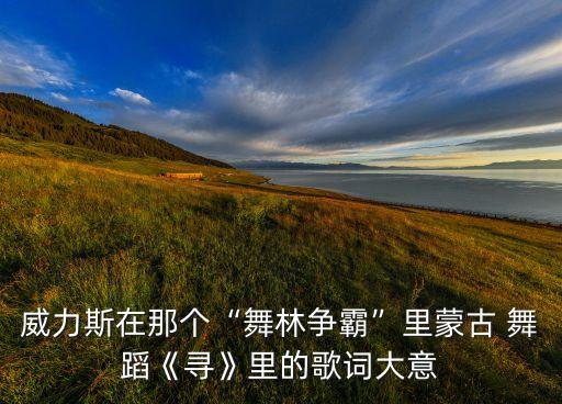威力斯在那个“舞林争霸”里蒙古 舞蹈《寻》里的歌词大意