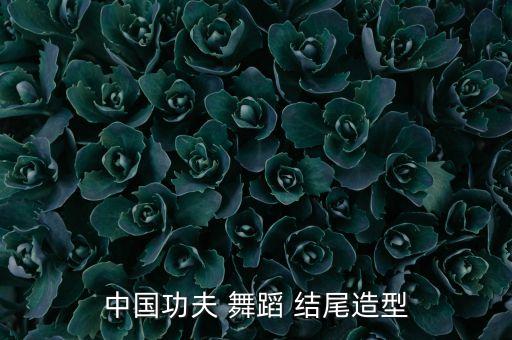 中国功夫 舞蹈 结尾造型