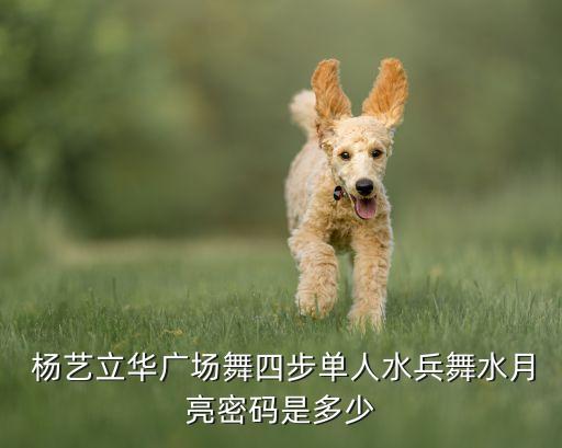 杨艺欢快舞蹈,《舞蹈周刊》杨艺担任本期节目总制片人兼导演