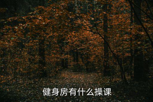  健身房有什么操课