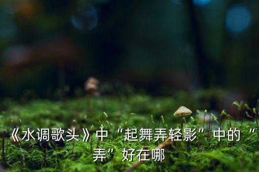 《水调歌头》中“起舞弄轻影”中的“弄”好在哪