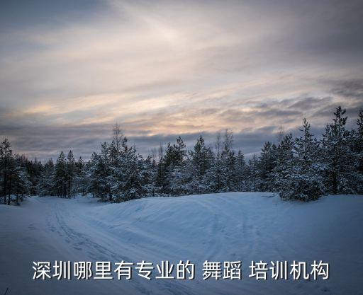 深圳哪里有专业的 舞蹈 培训机构