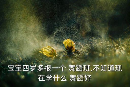 4岁舞蹈教学视频,我是舞蹈老师没必要去专门舞蹈培训学校