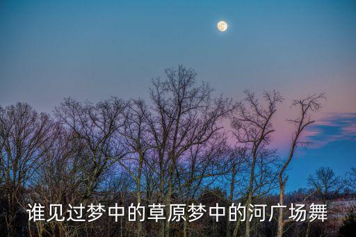 宜兴静静最新舞蹈,静静广场舞《谁见过梦里草原，梦里河》