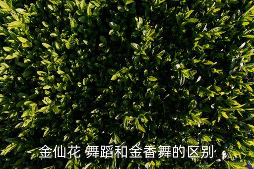 金仙花 舞蹈和金香舞的区别
