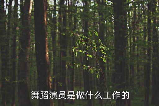  舞蹈演员是做什么工作的