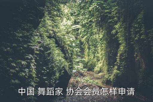 河南舞蹈家协会,中国舞协会会员可选择跳级考试获分级证书