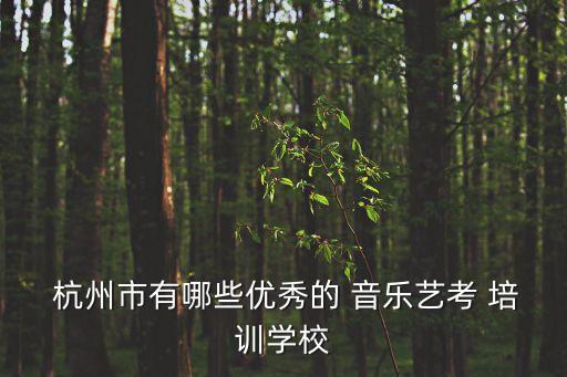  杭州市有哪些优秀的 音乐艺考 培训学校
