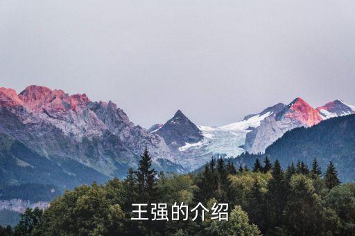 王强舞蹈王强,蓝色工程青年骨干教师王强去世